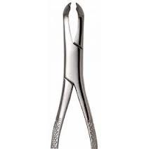 Forceps